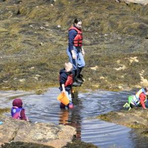 Over 50 people came to explore tidepools April 15 during an event hosted by Boothbay Harbor Memorial Library and the Boothbay Sea and Science Center. FRITZ FREUDENBERGER/Boothbay Register
