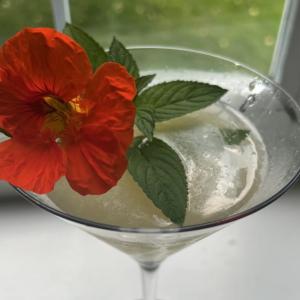Hand-crafted cocktails