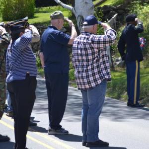 saluting 