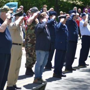 saluting vets