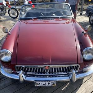 ANTIQUE CARS 