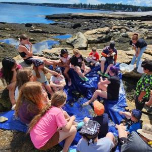 A tidepool lesson on Burnt Island. Courtesy of Elaine Jones A tidepool lesson on Burnt Island. Courtesy of Elaine Jones