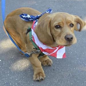 A past Southport Fourth of July parade participant. File photo
