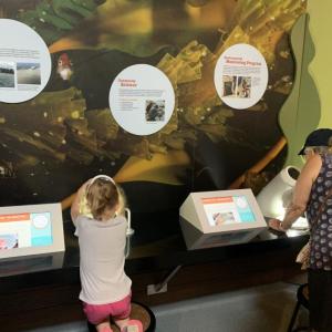 kids learning 