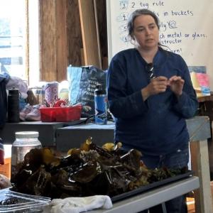 Sarah Redmond, owner of Springtide Seaweed located in Gouldsboro, Maine, presents a program at Boothbay Sea and Science Center. Courtesy photo