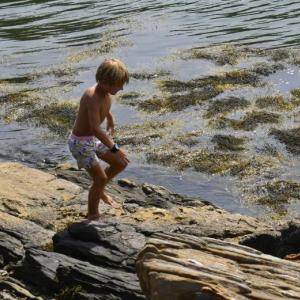 ISABELLE CURTIS/Boothbay Register