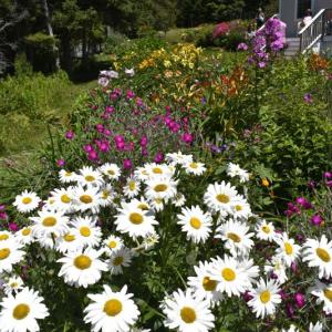 LISA KRISTOFF/Boothbay Register 