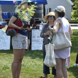 ISABELLE CURTIS/Boothbay Register