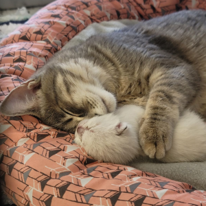 Mama love. Courtesy of Jess Townsend