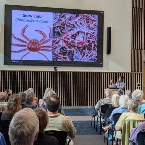Ocean Epidemiology