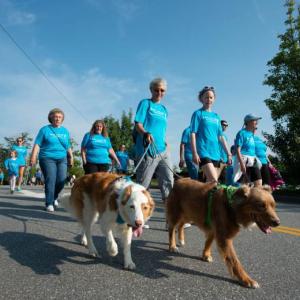 A scene from a previous Save A Stray 5k and Walk fundraiser for Midcoast Humane, which includes the Edgecomb shelter. Sign yourself and your pup up! Photo: Michelle Stapleton