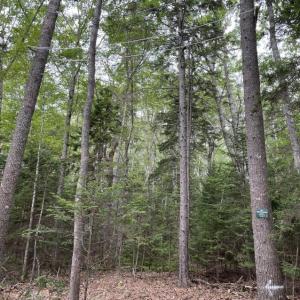 FRITZ FREUDENBERGER/Boothbay Register