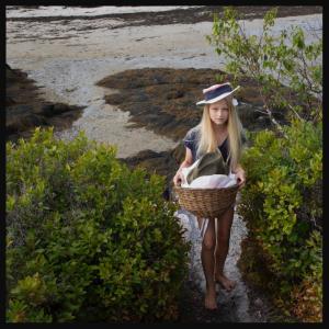 Hendricks Head picnic. Emily Whiting photo
