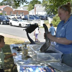 Lauren Miller of the Maine Department of Marine Resources talks sharks with the help of a preserved porbeagle shark fin. ISABELLE CURTIS/Boothbay Register