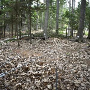 The course includes both low and high elements. FRITZ FREUDENBERGER/Boothbay Register