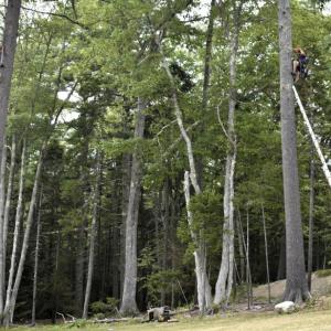 Workers from High 5 Adventure Learning Center install course elements. FRITZ FREUDENBERGER/Boothbay Register