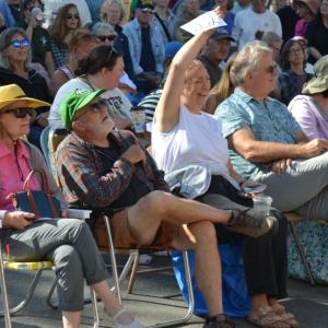 crowd