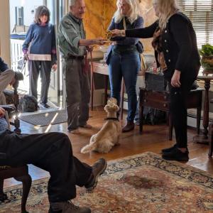 Scottish Terrier Club of New England