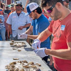 Pemaquid Oyster Festival 2025