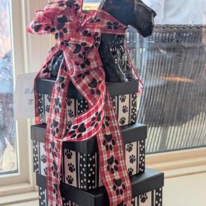 Scottish Terrier Club of New England