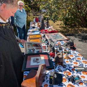 Scottish Terrier Club of New England