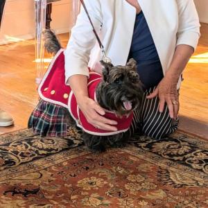 Scottish Terrier Club of New England