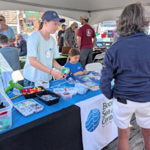 Pemaquid Oyster Festival 2025