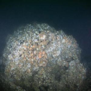 One of ST Seiner's boilers. Courtesy of Andrew Donn