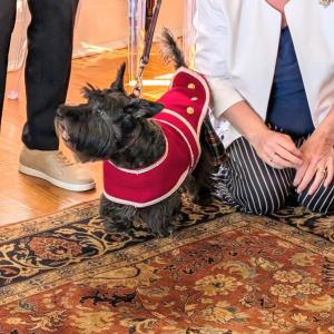 Scottish Terrier Club of New England