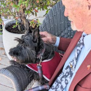 Scottish Terrier Club of New England