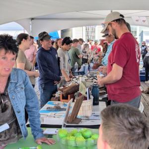Pemaquid Oyster Festival 2025