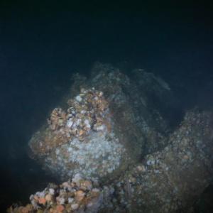 ST Seiner's steam engine. Courtesy of Andrew Donn