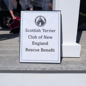 Scottish Terrier Club of New England