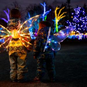 A scene from Coastal Maine Botanical Gardens' Gardens Aglow. Courtesy of CMBG