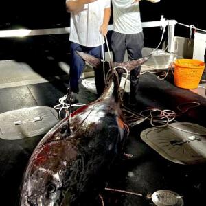 Nick Morley, left, and Matthew Burnham with team Locked n Loaded, currently in the lead for heaviest fish with their 832-pound tuna. Andrew Morley photo
Nick Morley, left, and Matthew Burnham