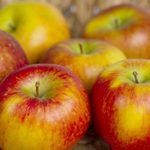 Apples