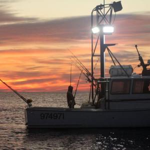 STEVE EDWARDS/Boothbay Register
