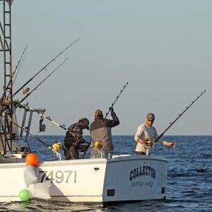 STEVE EDWARDS/Boothbay Register
