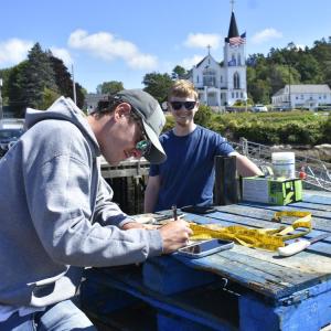 UMaine scientists recording data on donated and discarded fish parts to better understand the fishery and inform the agencies managing it. FRITZ FREUDENBERGER/Boothbay Register