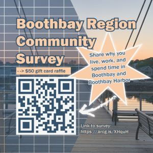 Survey flyer