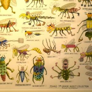 Close up of John Otterbein's "John's Insect Collection," ARTinME second place winner.