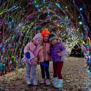 Gardens Aglow Community Night, Friday, Nov. 14 from 4 to 9 p.m. Courtesy of Coastal Maine Botanical Gardens