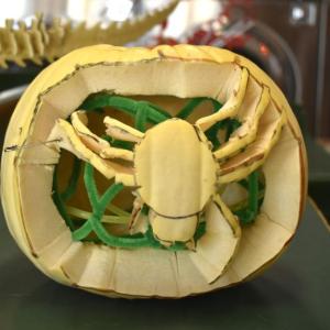 This creepy, crawly spider won Spookiest design. ISABELLE CURTIS/Boothbay Register
