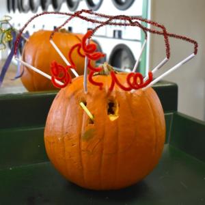 ISABELLE CURTIS/Boothbay Register