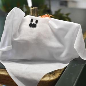 ISABELLE CURTIS/Boothbay Register