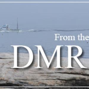 DMR banner for bulletins
