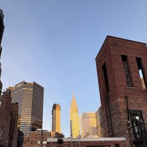 The rooftop view of Manhattan was spectacular with the Chrysler Building gleaming in the afternoon sun while an American robin called from a patio on the brick building to the left. Courtesy of Jeff Wells