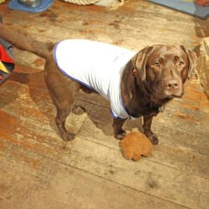 STEVE EDWARDS/Boothbay Register