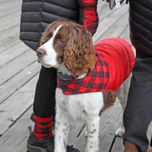 STEVE EDWARDS/Boothbay Register