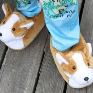 STEVE EDWARDS/Boothbay Register